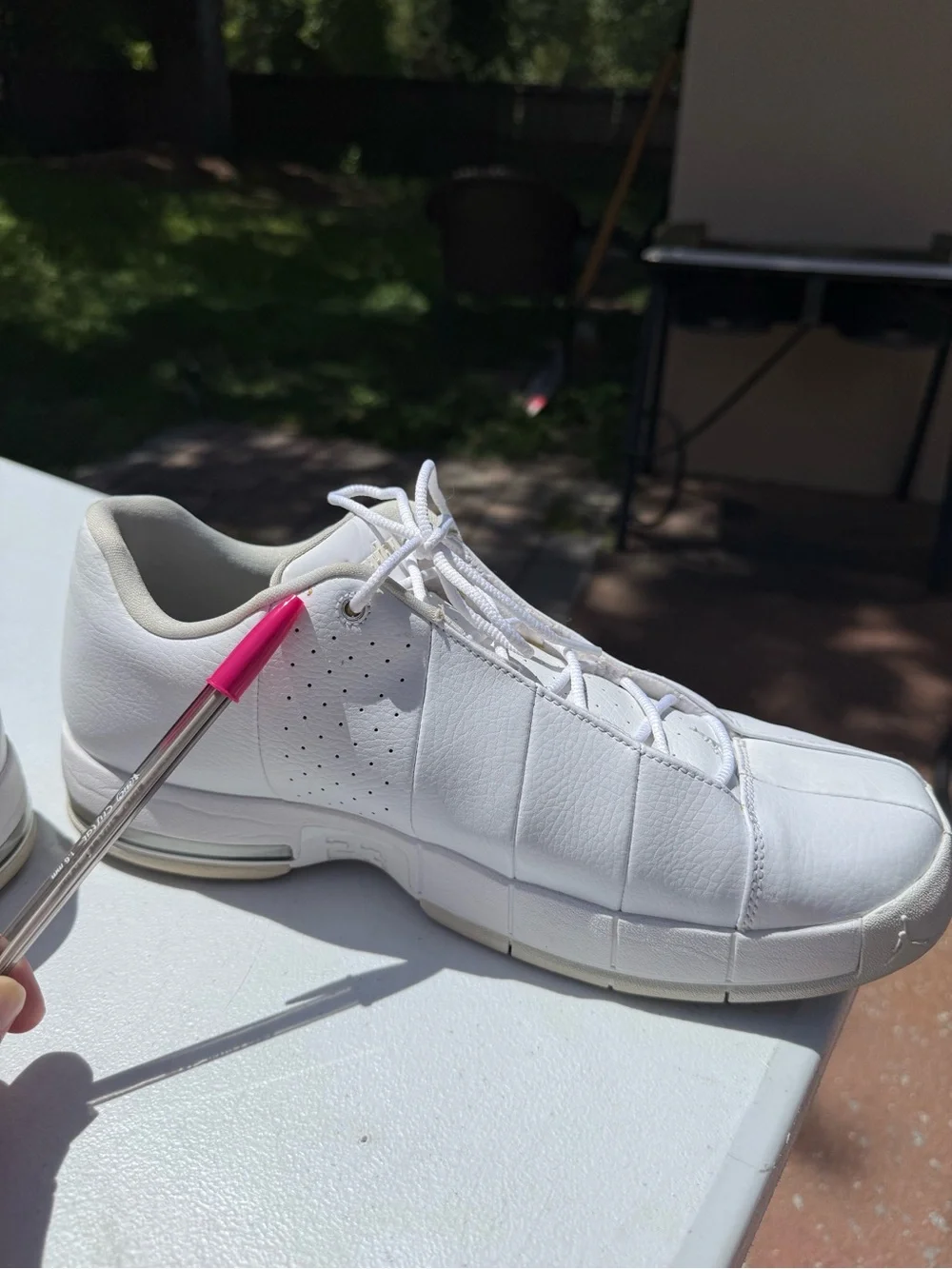 Air Jordan TE 2 Low 'White Pure Platinum' RARE
